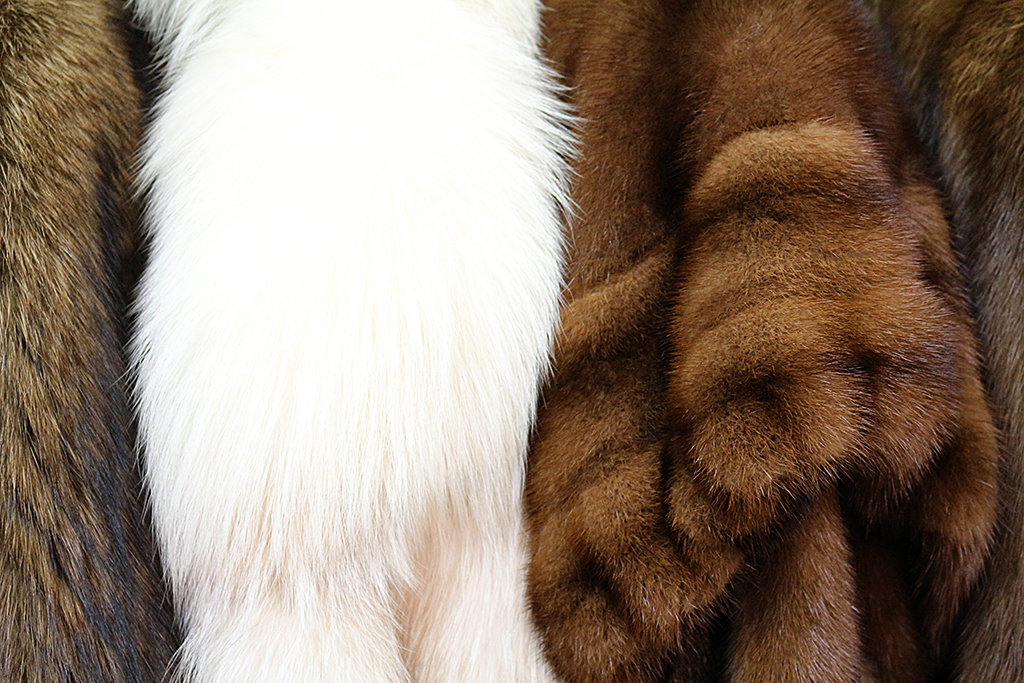 Stunning Coats